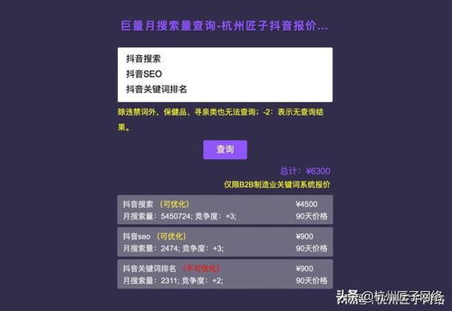 溫州抖音搜索SEO優(yōu)化推廣公司 2023年含詢價系統(tǒng)的技術(shù)推廣服務(wù)解析